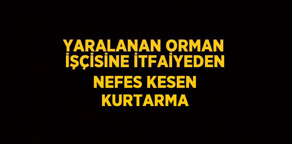 YARALANAN ORMAN İŞÇİSİNE İTFAİYEDEN NEFES KESEN KURTARMA