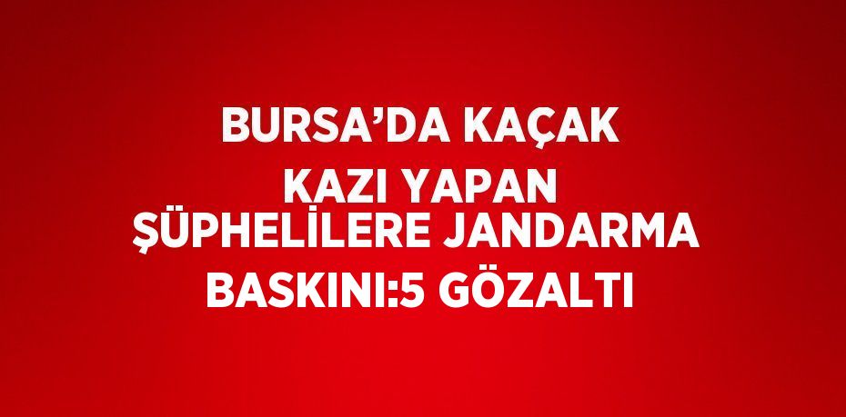 BURSA’DA KAÇAK KAZI YAPAN ŞÜPHELİLERE JANDARMA BASKINI:5 GÖZALTI