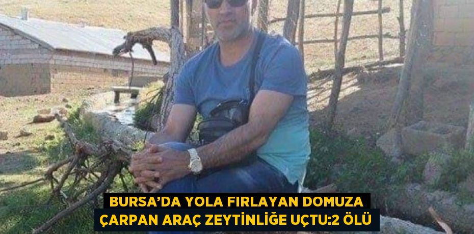 BURSA’DA YOLA FIRLAYAN DOMUZA ÇARPAN ARAÇ ZEYTİNLİĞE UÇTU:2 ÖLÜ