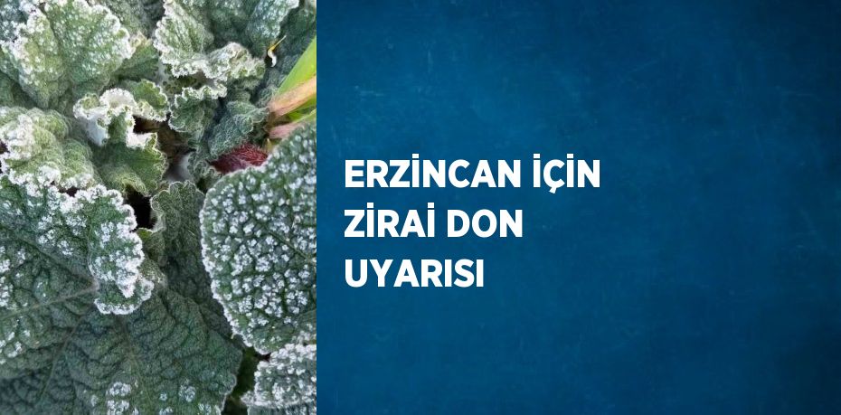 ERZİNCAN İÇİN ZİRAİ DON UYARISI