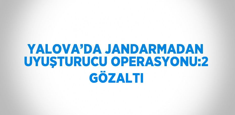 YALOVA’DA JANDARMADAN UYUŞTURUCU OPERASYONU:2 GÖZALTI