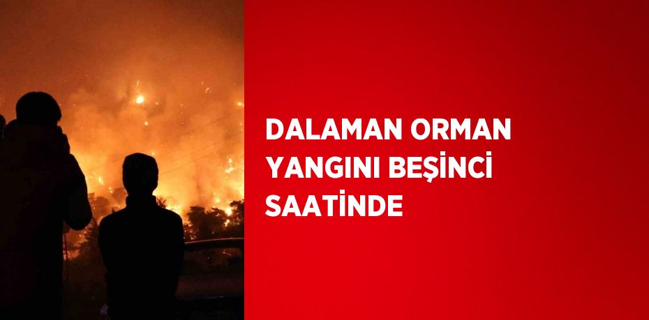 DALAMAN ORMAN YANGINI BEŞİNCİ SAATİNDE