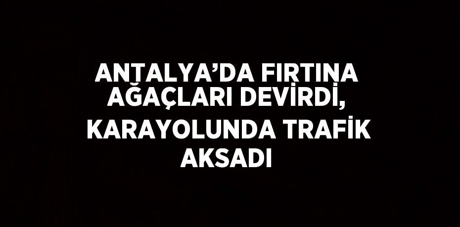 ANTALYA’DA FIRTINA AĞAÇLARI DEVİRDİ, KARAYOLUNDA TRAFİK AKSADI