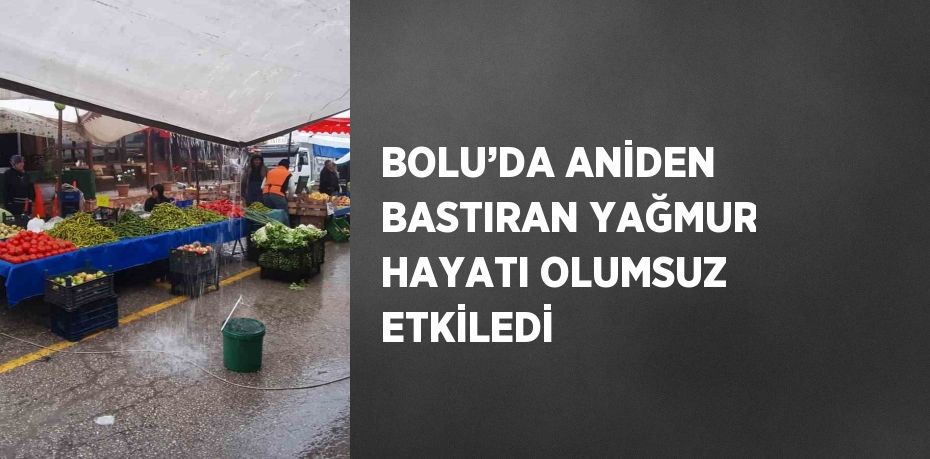 BOLU’DA ANİDEN BASTIRAN YAĞMUR HAYATI OLUMSUZ ETKİLEDİ