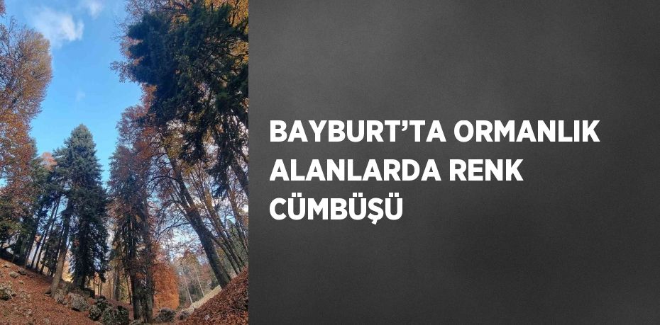 BAYBURT’TA ORMANLIK ALANLARDA RENK CÜMBÜŞÜ