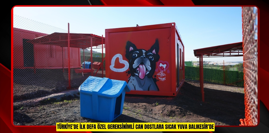 TÜRKİYE’DE İLK DEFA ÖZEL GEREKSİNİMLİ CAN DOSTLARA SICAK YUVA BALIKESİR’DE