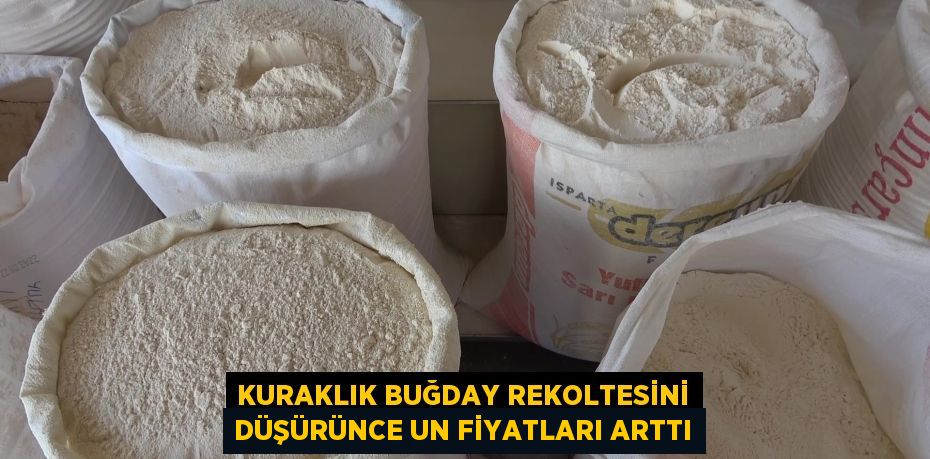 Kuraklık buğday rekoltesini düşürünce un fiyatları arttı