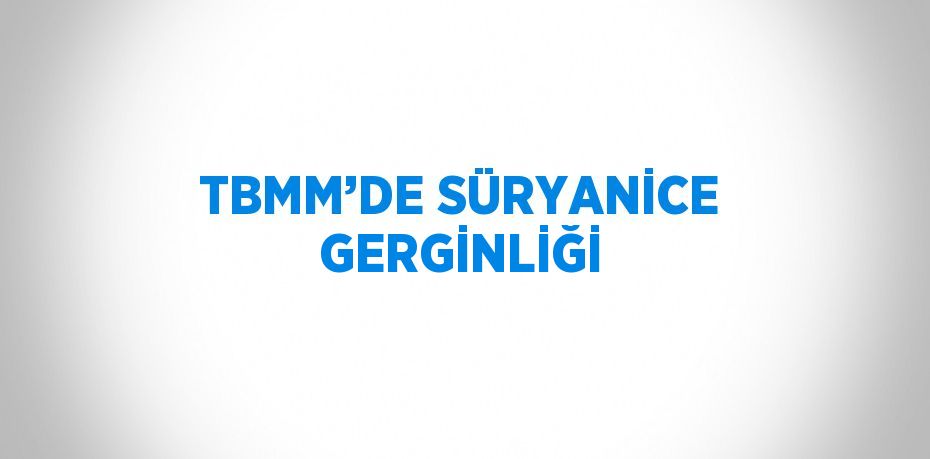 TBMM’DE SÜRYANİCE GERGİNLİĞİ