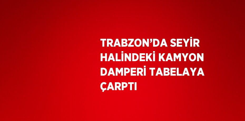 TRABZON’DA SEYİR HALİNDEKİ KAMYON DAMPERİ TABELAYA ÇARPTI