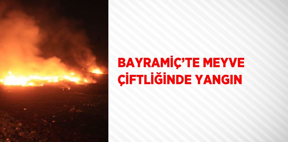 BAYRAMİÇ’TE MEYVE ÇİFTLİĞİNDE YANGIN