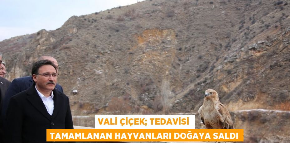 VALİ ÇİÇEK; TEDAVİSİ TAMAMLANAN HAYVANLARI DOĞAYA SALDI