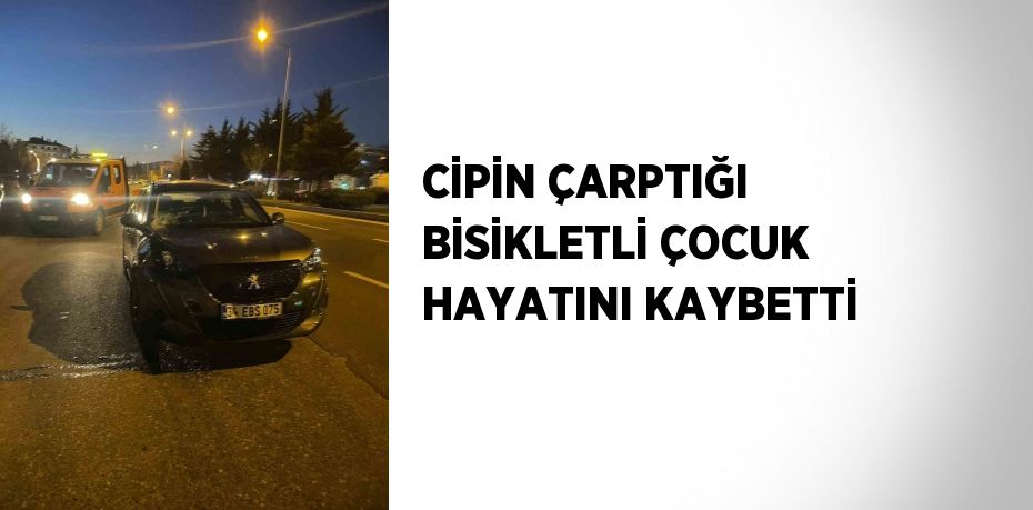 CİPİN ÇARPTIĞI BİSİKLETLİ ÇOCUK HAYATINI KAYBETTİ