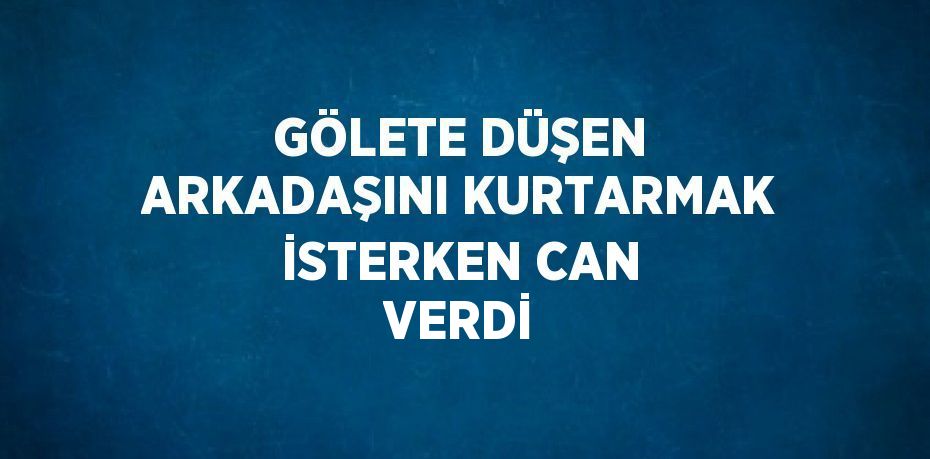 GÖLETE DÜŞEN ARKADAŞINI KURTARMAK İSTERKEN CAN VERDİ