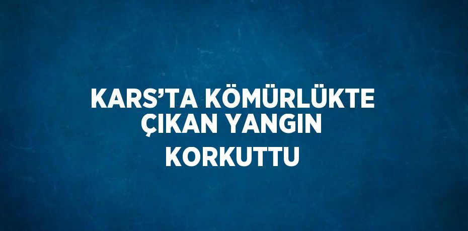 KARS’TA KÖMÜRLÜKTE ÇIKAN YANGIN KORKUTTU