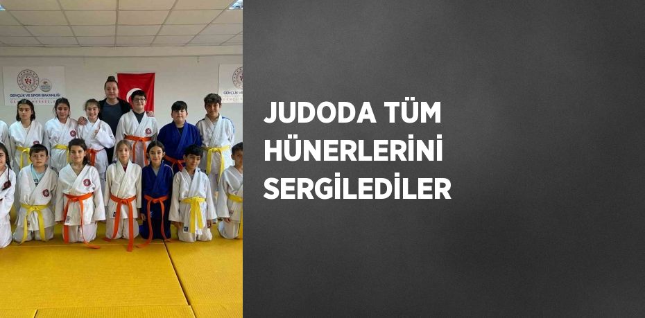 JUDODA TÜM HÜNERLERİNİ SERGİLEDİLER