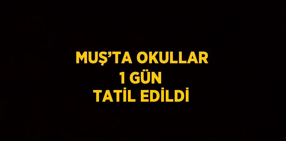 MUŞ’TA OKULLAR 1 GÜN TATİL EDİLDİ