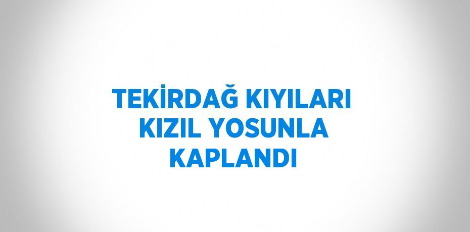 TEKİRDAĞ KIYILARI KIZIL YOSUNLA KAPLANDI