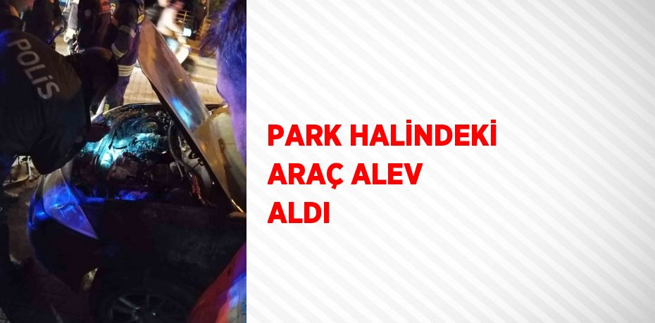 PARK HALİNDEKİ ARAÇ ALEV ALDI