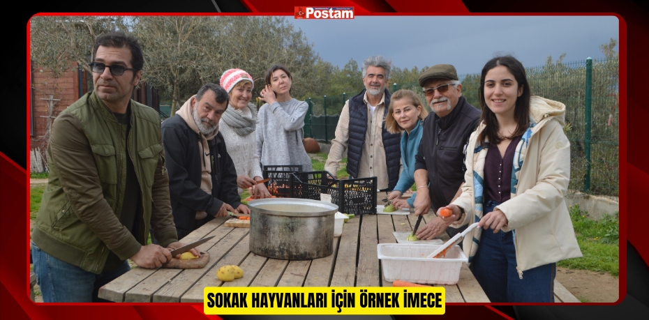 Sokak hayvanları için örnek imece