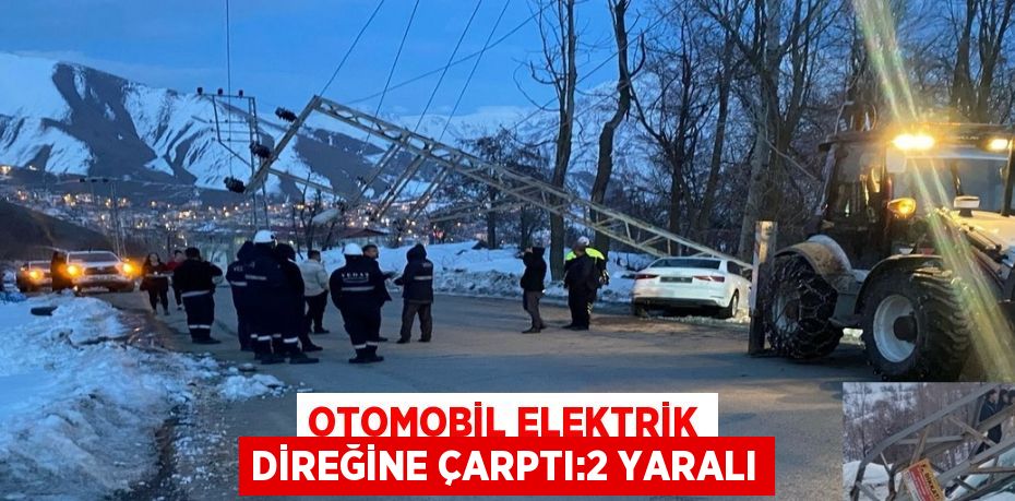 OTOMOBİL ELEKTRİK DİREĞİNE ÇARPTI:2 YARALI