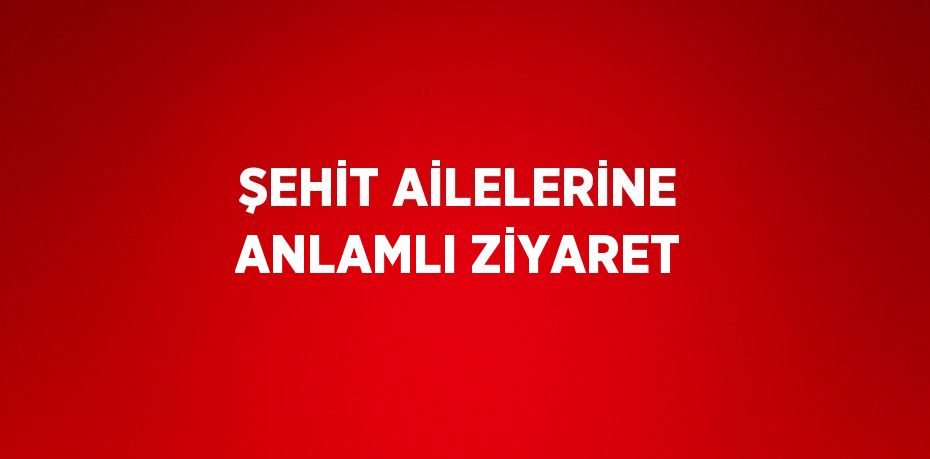 ŞEHİT AİLELERİNE ANLAMLI ZİYARET