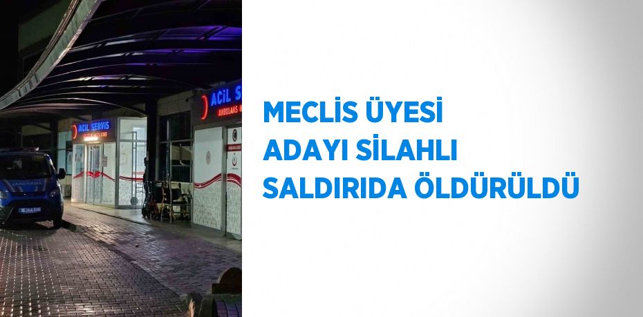 MECLİS ÜYESİ ADAYI SİLAHLI SALDIRIDA ÖLDÜRÜLDÜ