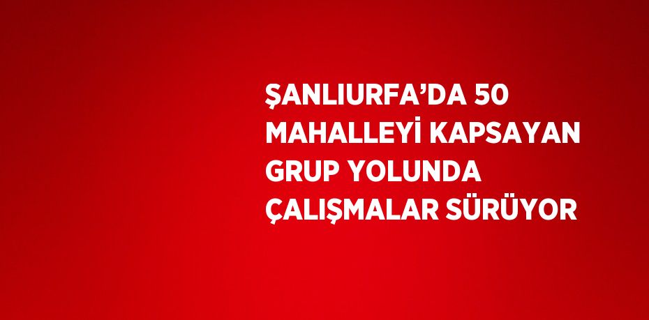 ŞANLIURFA’DA 50 MAHALLEYİ KAPSAYAN GRUP YOLUNDA ÇALIŞMALAR SÜRÜYOR