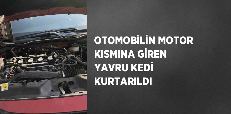 OTOMOBİLİN MOTOR KISMINA GİREN YAVRU KEDİ KURTARILDI