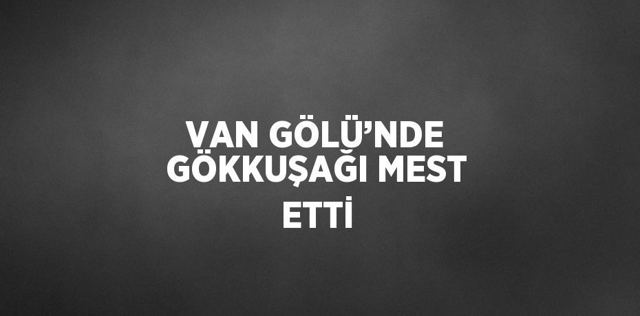 VAN GÖLÜ’NDE GÖKKUŞAĞI MEST ETTİ