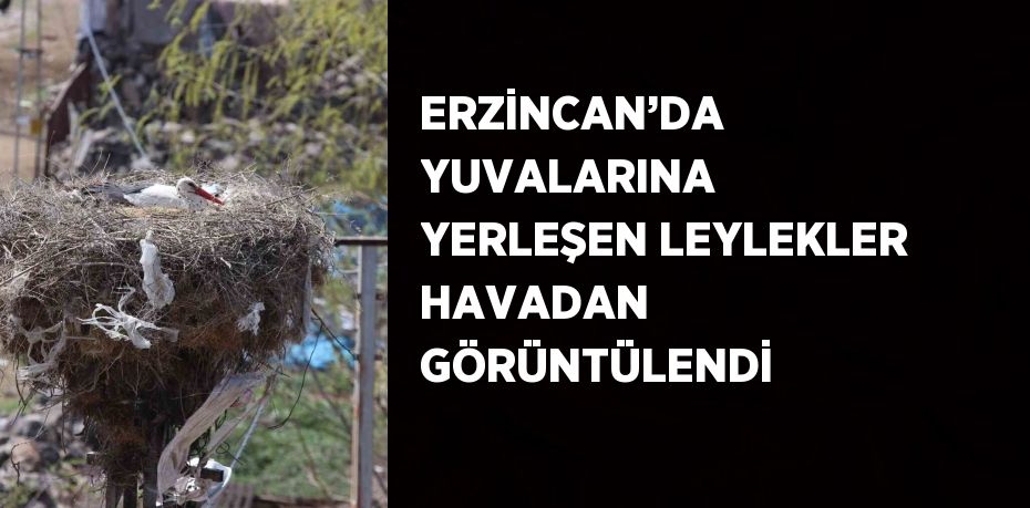 ERZİNCAN’DA YUVALARINA YERLEŞEN LEYLEKLER HAVADAN GÖRÜNTÜLENDİ