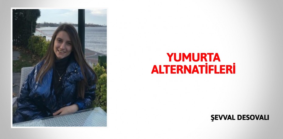 YUMURTA  ALTERNATİFLERİ