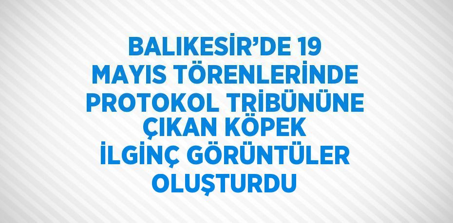 BALIKESİR’DE 19 MAYIS TÖRENLERİNDE PROTOKOL TRİBÜNÜNE ÇIKAN KÖPEK İLGİNÇ GÖRÜNTÜLER OLUŞTURDU