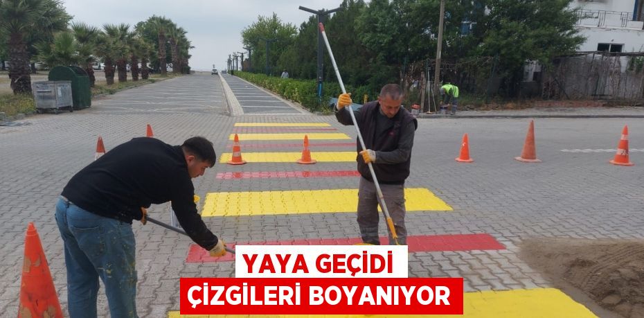 YAYA GEÇİDİ ÇİZGİLERİ BOYANIYOR