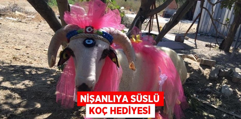 NİŞANLIYA SÜSLÜ KOÇ HEDİYESİ