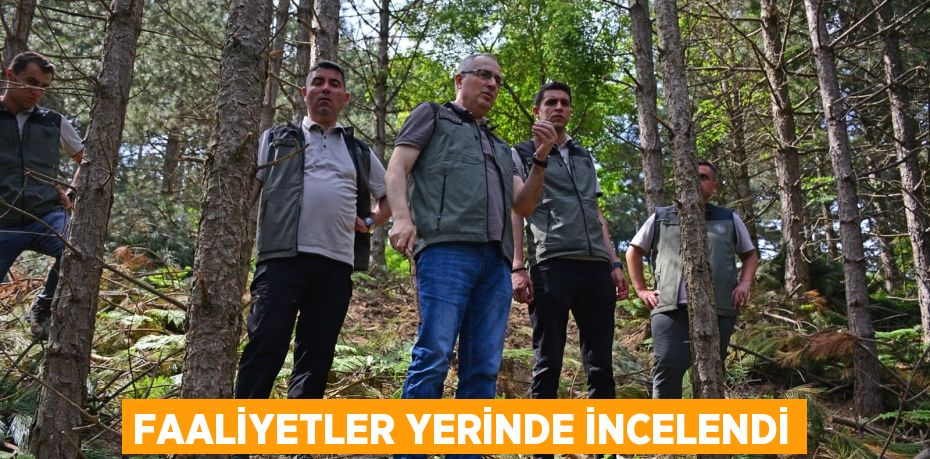 Faaliyetler yerinde incelendi