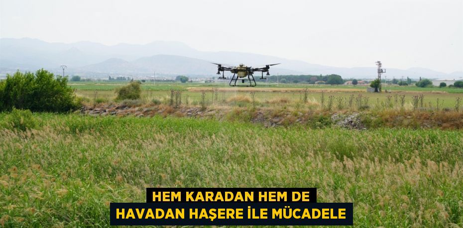 Hem karadan hem de havadan haşere ile mücadele