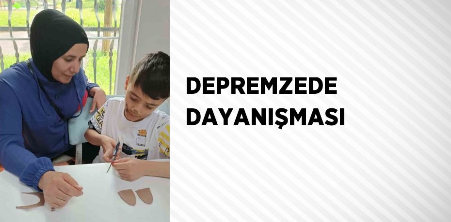 DEPREMZEDE DAYANIŞMASI