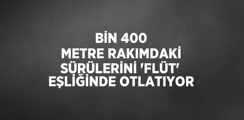 BİN 400 METRE RAKIMDAKİ SÜRÜLERİNİ 'FLÜT' EŞLİĞİNDE OTLATIYOR