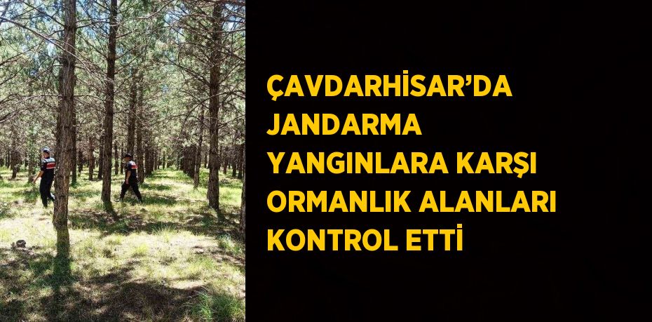 ÇAVDARHİSAR’DA JANDARMA YANGINLARA KARŞI ORMANLIK ALANLARI KONTROL ETTİ