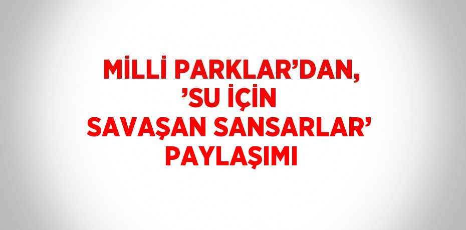 MİLLİ PARKLAR’DAN, ’SU İÇİN SAVAŞAN SANSARLAR’ PAYLAŞIMI