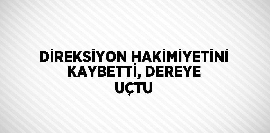 DİREKSİYON HAKİMİYETİNİ KAYBETTİ, DEREYE UÇTU