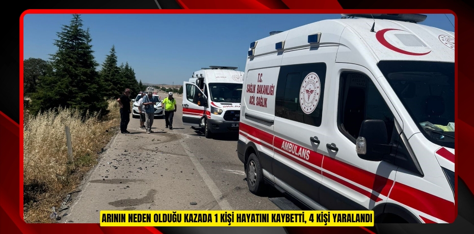 Arının neden olduğu kazada 1 kişi hayatını kaybetti, 4 kişi yaralandı