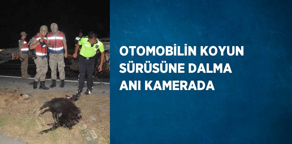 OTOMOBİLİN KOYUN SÜRÜSÜNE DALMA ANI KAMERADA