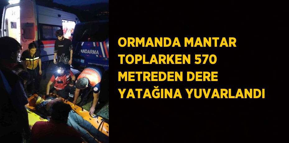 ORMANDA MANTAR TOPLARKEN 570 METREDEN DERE YATAĞINA YUVARLANDI