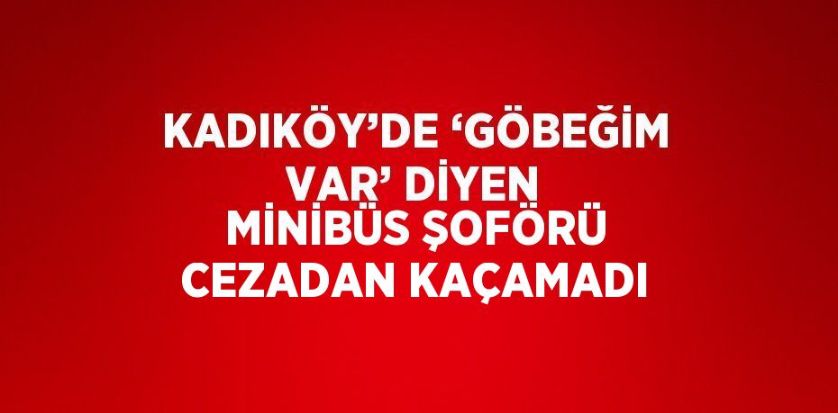 KADIKÖY’DE ‘GÖBEĞİM VAR’ DİYEN MİNİBÜS ŞOFÖRÜ CEZADAN KAÇAMADI