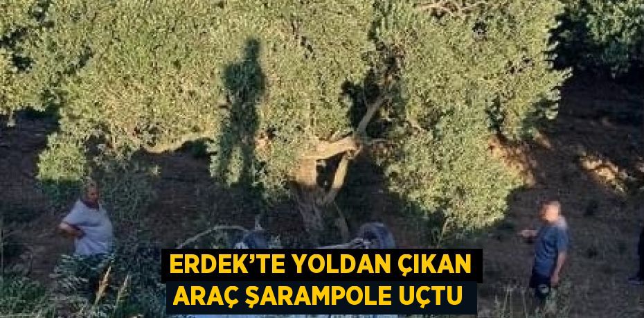 ERDEK’TE YOLDAN ÇIKAN ARAÇ ŞARAMPOLE UÇTU