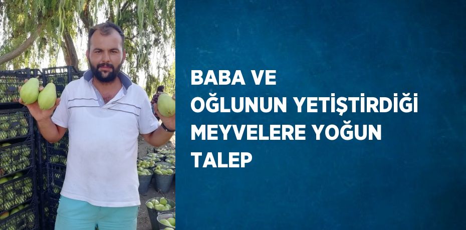 BABA VE OĞLUNUN YETİŞTİRDİĞİ MEYVELERE YOĞUN TALEP