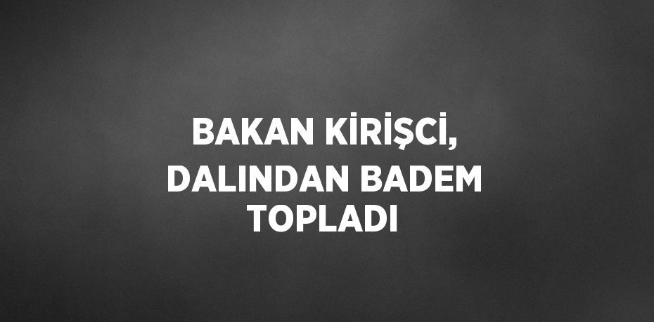 BAKAN KİRİŞCİ, DALINDAN BADEM TOPLADI