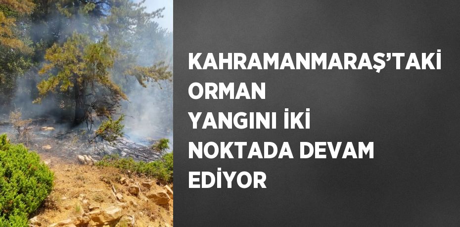 KAHRAMANMARAŞ’TAKİ ORMAN YANGINI İKİ NOKTADA DEVAM EDİYOR