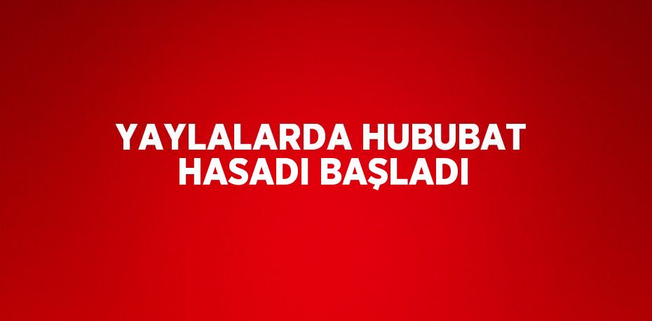 YAYLALARDA HUBUBAT HASADI BAŞLADI